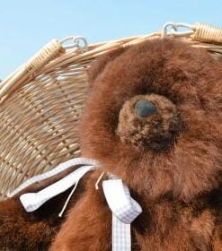 teddy bear in alpaca fur