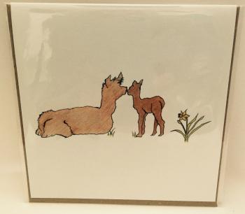 Alpaca greeting cards