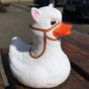 rubber duck