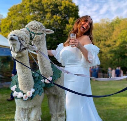 Alpaca Annie - Alpaca Wedding Hire Kent Bride