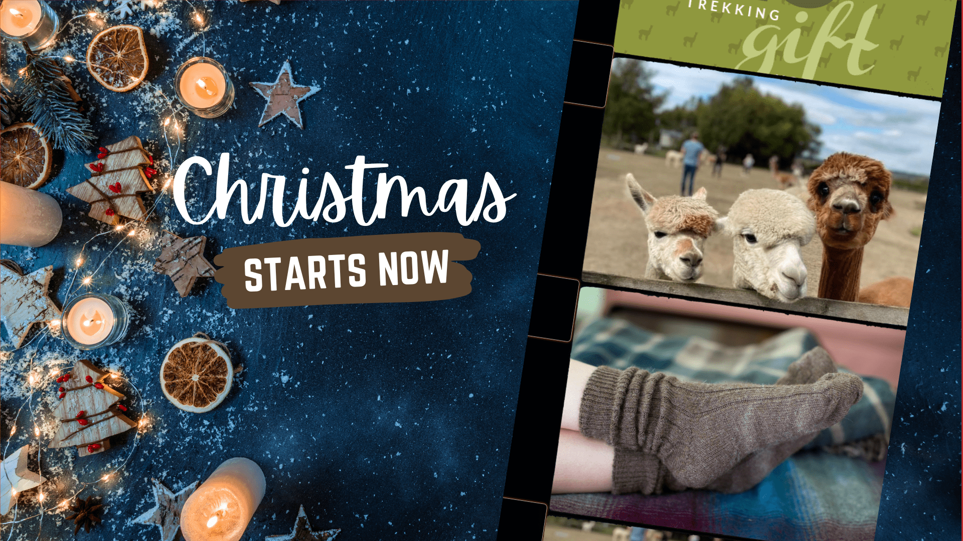 Alpaca Annie Christmas Sale Shop Now