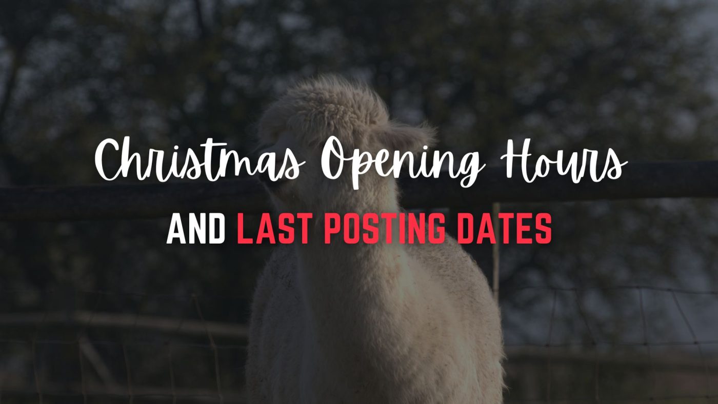 Alpaca Annie Christmas 2025